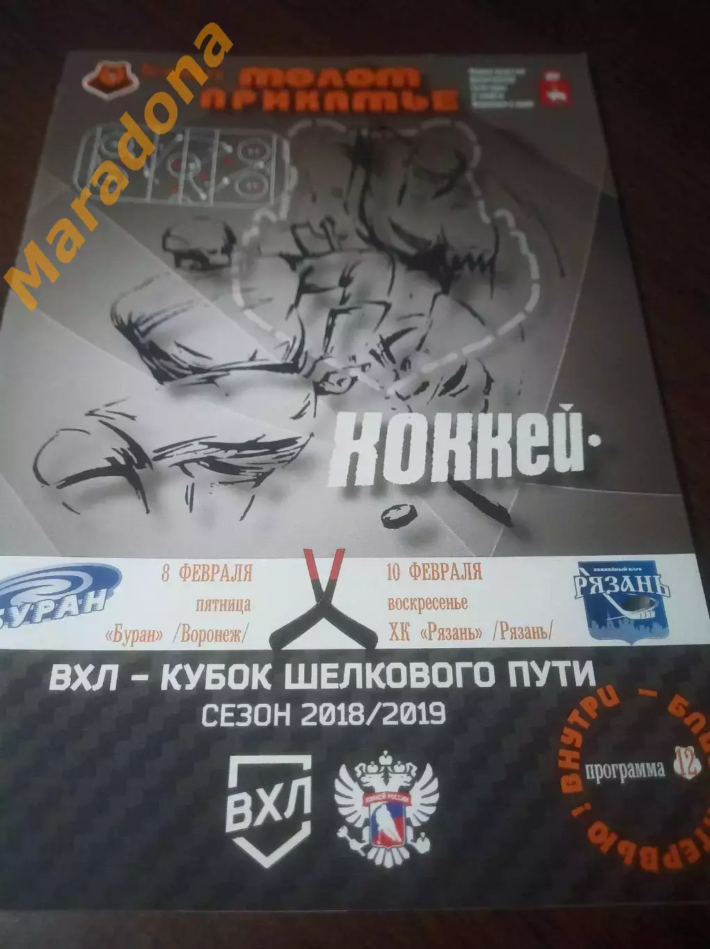 _ Молот Пермь - Буран Воронеж + Рязань 2018/2019