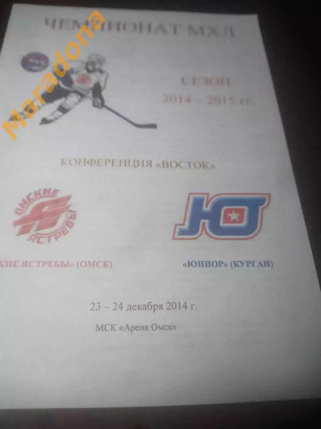 _ Омские Ястребы Омск - Юниор Курган 2014/2015