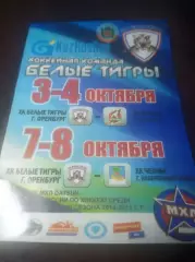 _ Белые Тигры Оренбург - Ирбис Казань + Челны Набережные Челны 2014/2015
