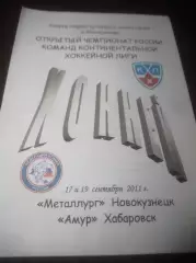 _ Металлург Новокузнецк - Амур Хабаровск 2011/2012