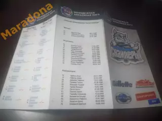 _ Сибирские снайперы Новосибирск - Реактор Нижнекамск 2013/2014