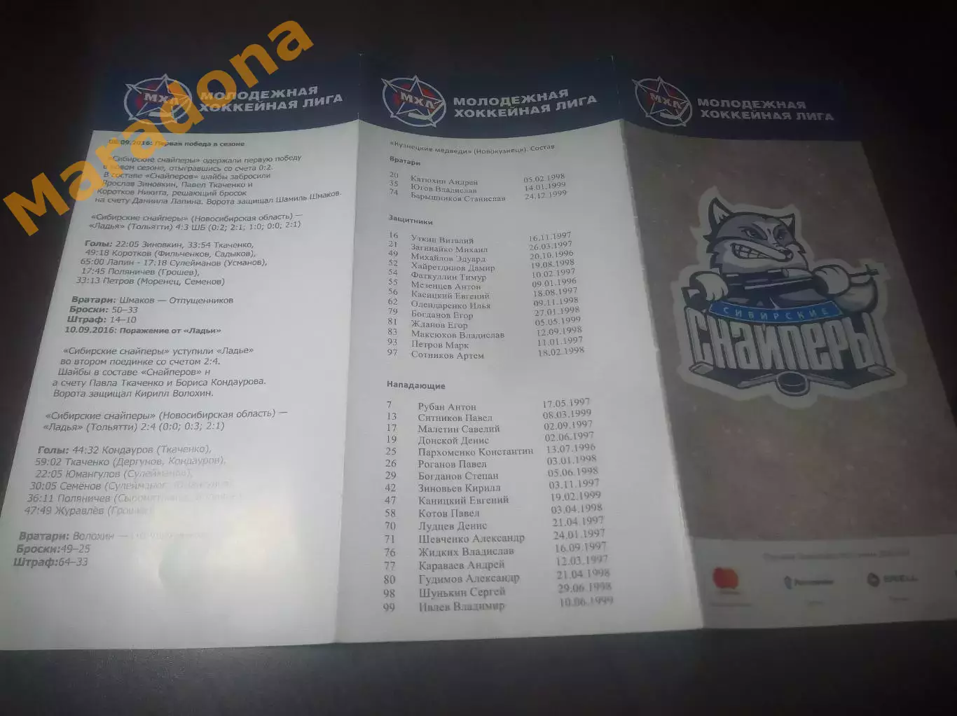 _ Сибирские снайперы Новосибирск - Кузнецкие медведи Новокузнецк 2016/2017
