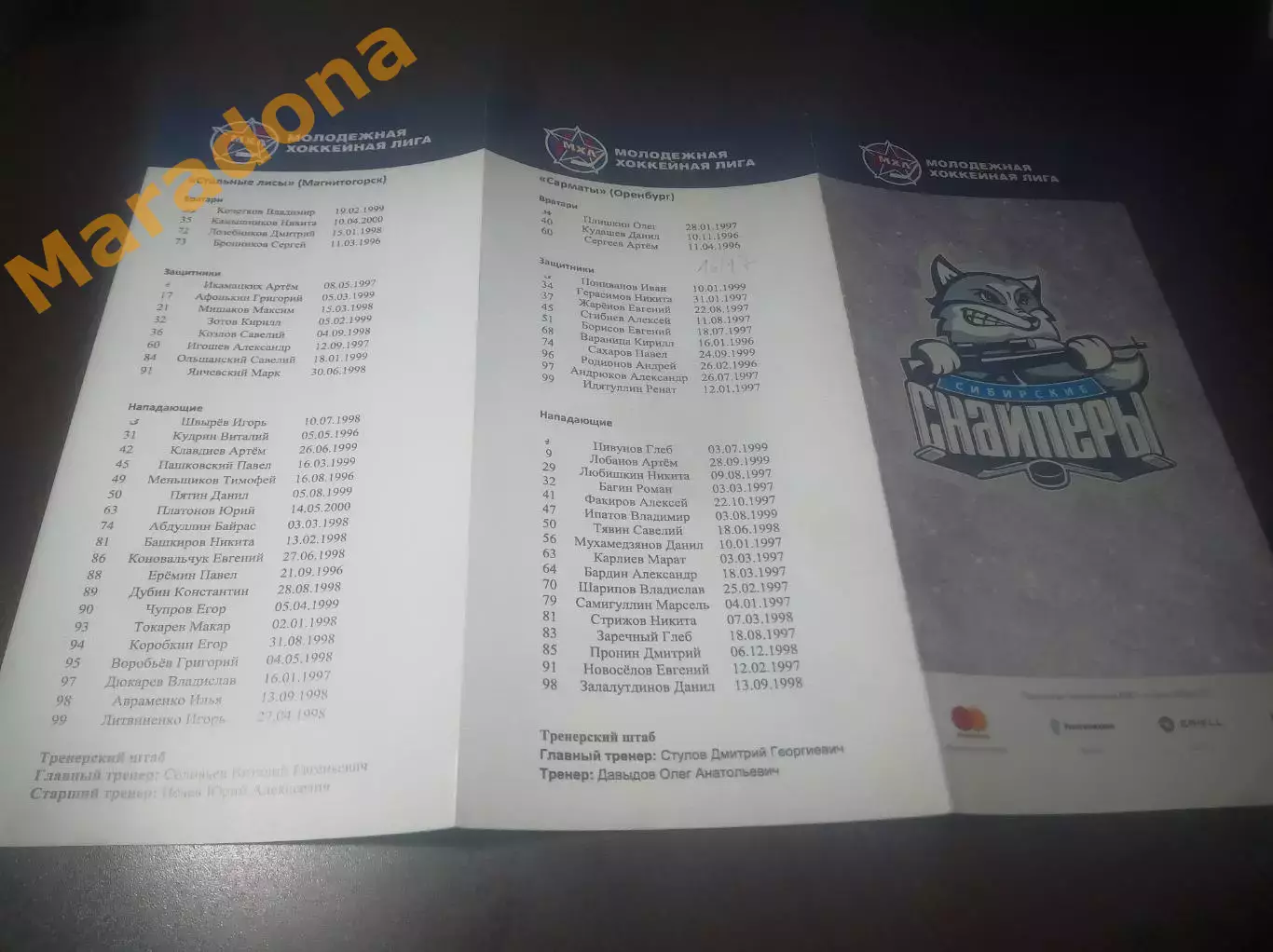 _ Сибирские снайперы - Стальные Лисы Магнитогорск + Сарматы Оренбург 2016/2017