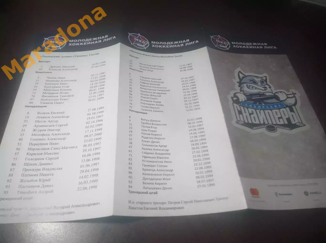 _ Сибирские снайперы Новосибирск - Мамонты Югры + Тюменский легион 2016/2017