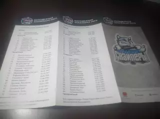 _ Сибирские снайперы Новосибирск - Мамонты Югры + Тюменский легион 2016/2017