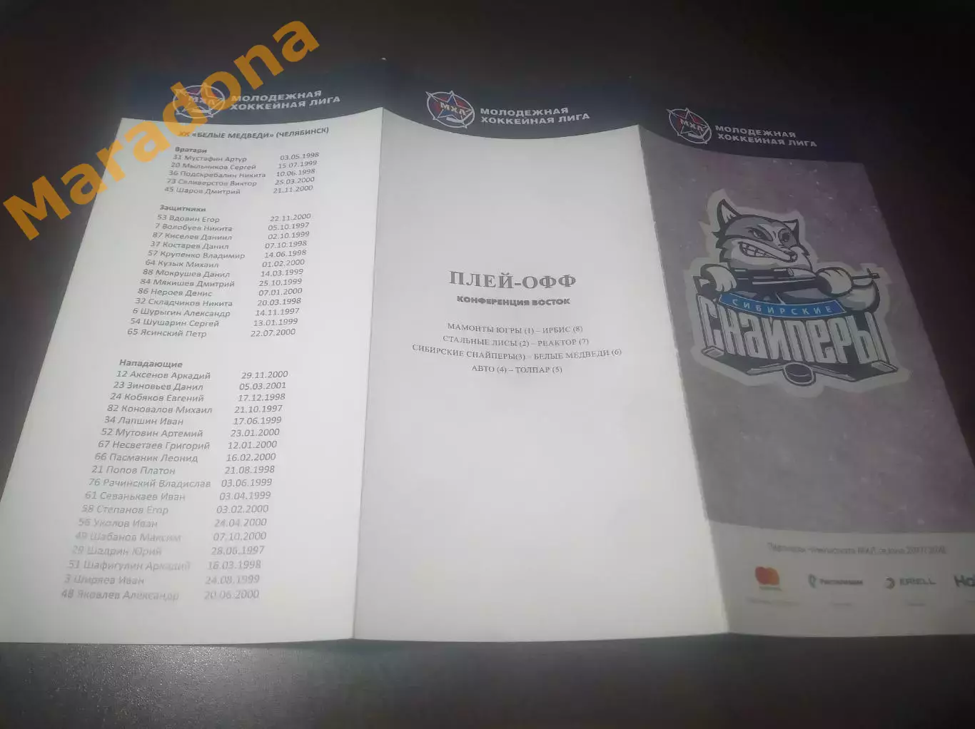 _ Сибирские Снайперы Новосибирск - Белые Медведи Челябинск 2017/2018
