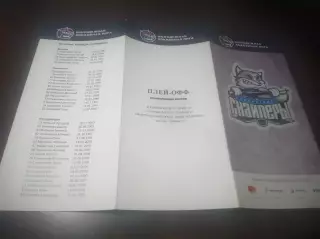 _ Сибирские Снайперы Новосибирск - Белые Медведи Челябинск 2017/2018