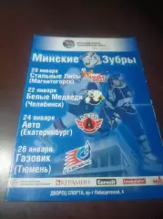 _ Минские зубры-Стальные лисы+Белые медведи Челя+Авто Екат+Газовик Тюм 2010/2011