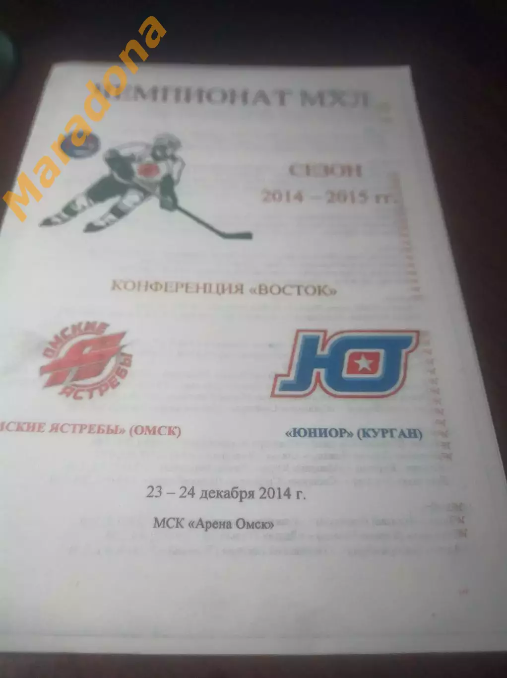 _ Омские Ястребы Омск - Юниор Курган 2014/2015