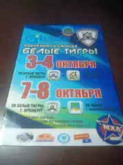 _ Белые Тигры Оренбург - Ирбис Казань + Челны Набережные Челны 2014/2015