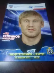 _ Нефтехимик Нижнекамск - Амур Хабаровск 2012/2013