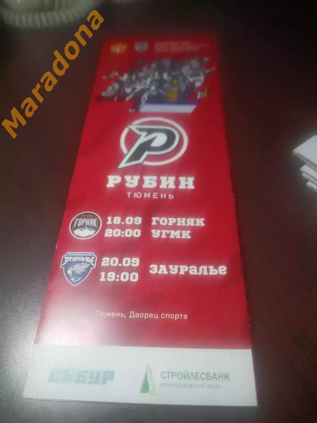 _ Рубин Тюмень - Горняк-УГМК Верхняя Пышма + Зауралье Курган 2023/2024