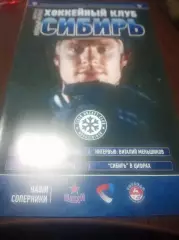 Сибирь Новосибирск - ЦСКА Москва+Северсталь+Торпедо Нижний Новгород 2014/2015