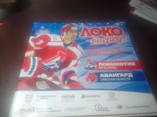 _ Локомотив Ярославль - Авангард Омск 2008/2009
