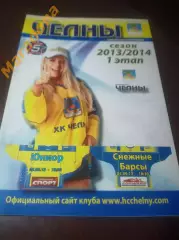 _ Челны Набережные Челны - Юниор Курган + Снежные барсы Астана 2013/2014