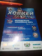 _ Тюменский Легион - Сарматы Оренбург + Стальные лисы Магнитогорск 2016/2017