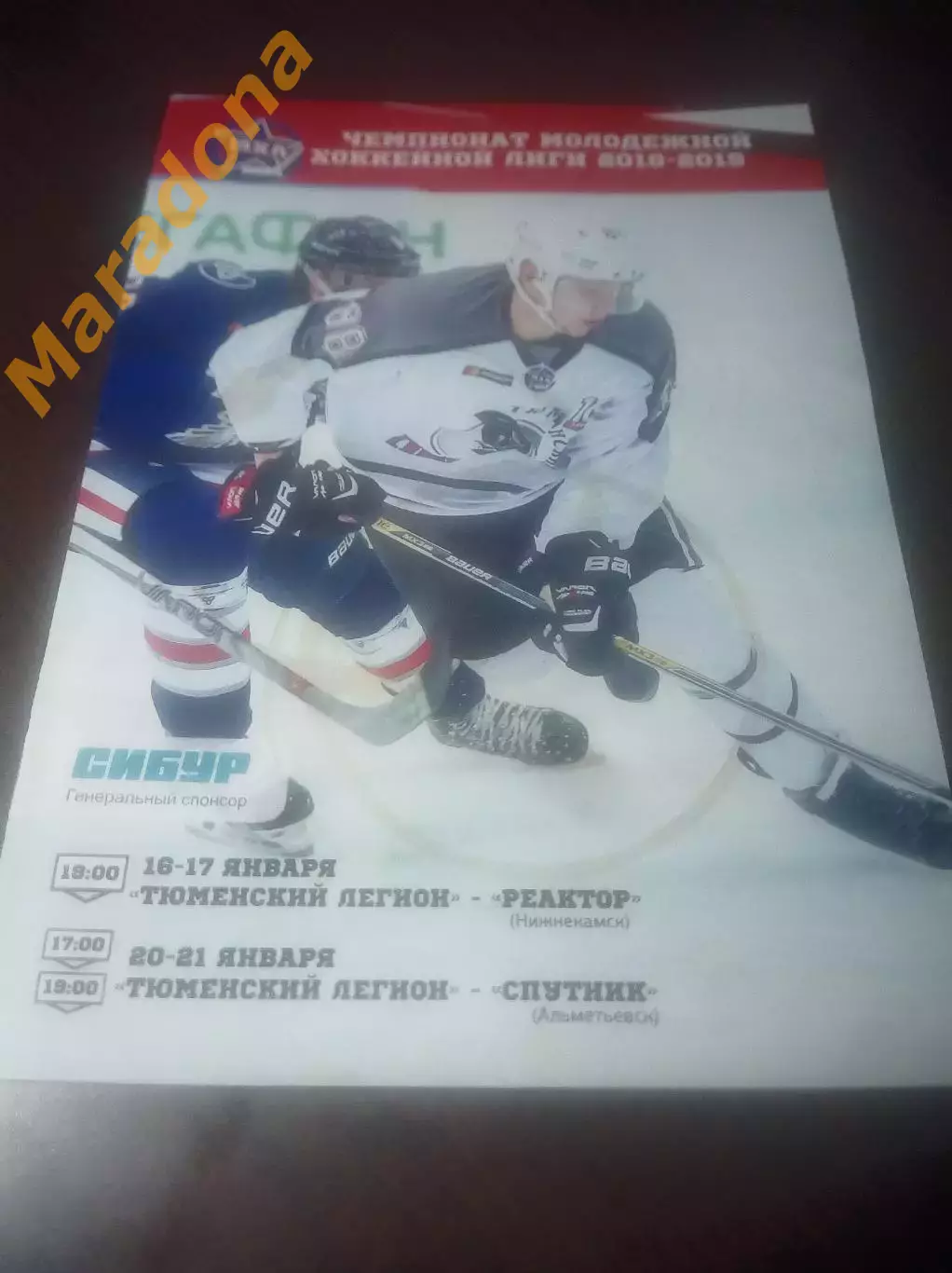 _ Тюменский Легион - Спутник Альметьевск + Реактор Нижнекамск 2018/2019