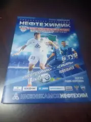 _ Нефтехимик Нижнекамск - Сибирь Новосибирск 2016