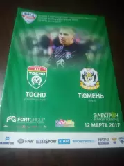 _ Тосно - Тюмень 2017 Великий Новгород