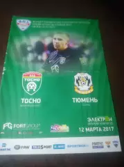 _ Тосно - Тюмень - 2017 Великий Новгород