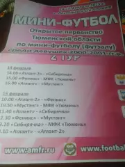 _ Афиша мини-футбол девушки Ялуторовск 2015 Тюмень Заводоуковск