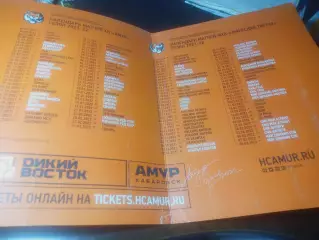 _ Трещетка Хлопушка календарь Амур Хабаровск Амурские Тигры 2021/2022