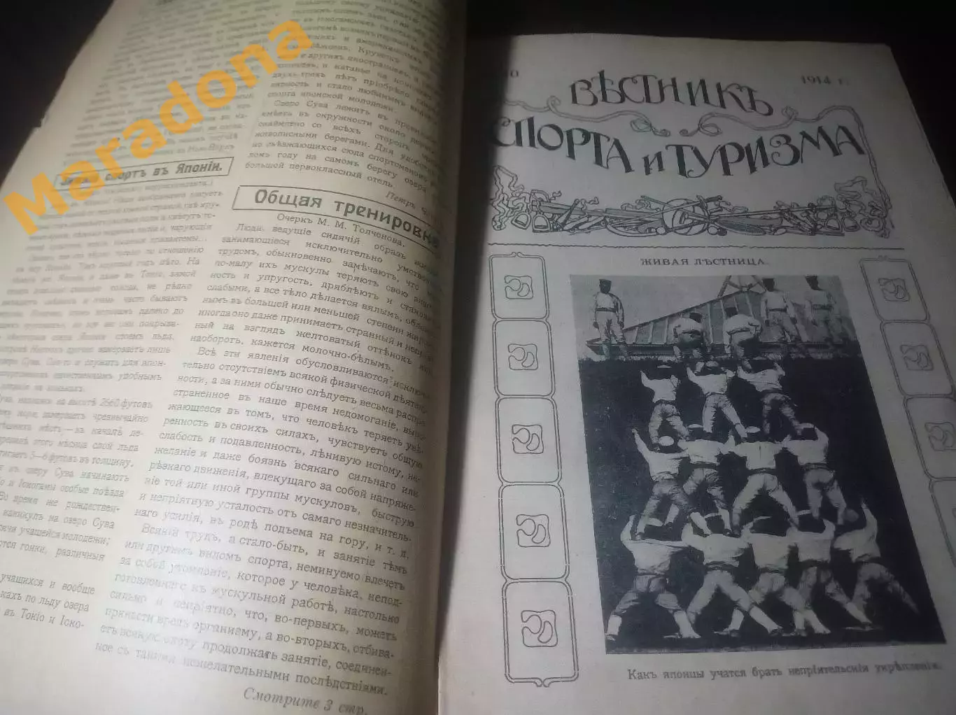 дореволюционный Журнал Вестник Спорта и Туризма №10 1914 года 1