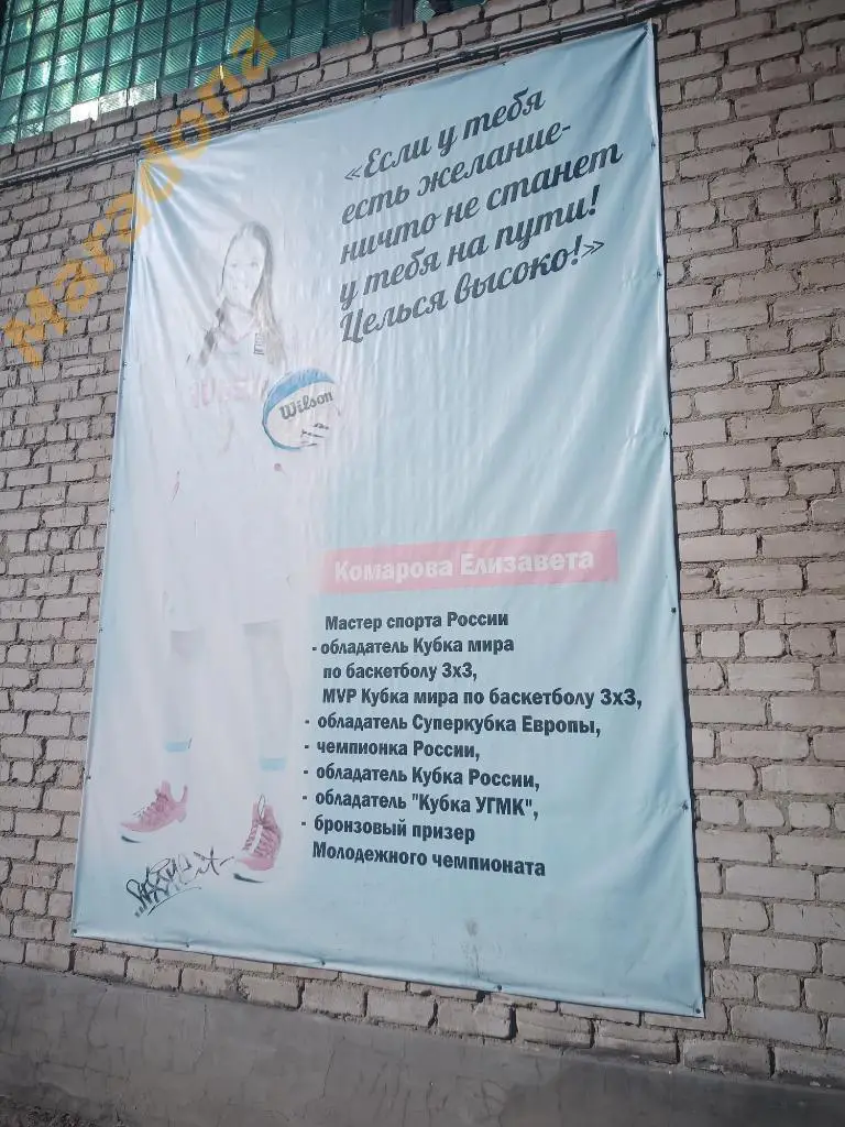 Вымпел Сухой Лог Баскетбол Лиза Комарова УГМК Екатеринбург автограф №3 1