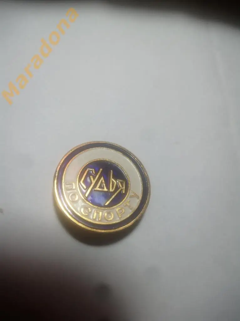 Судья по спорту