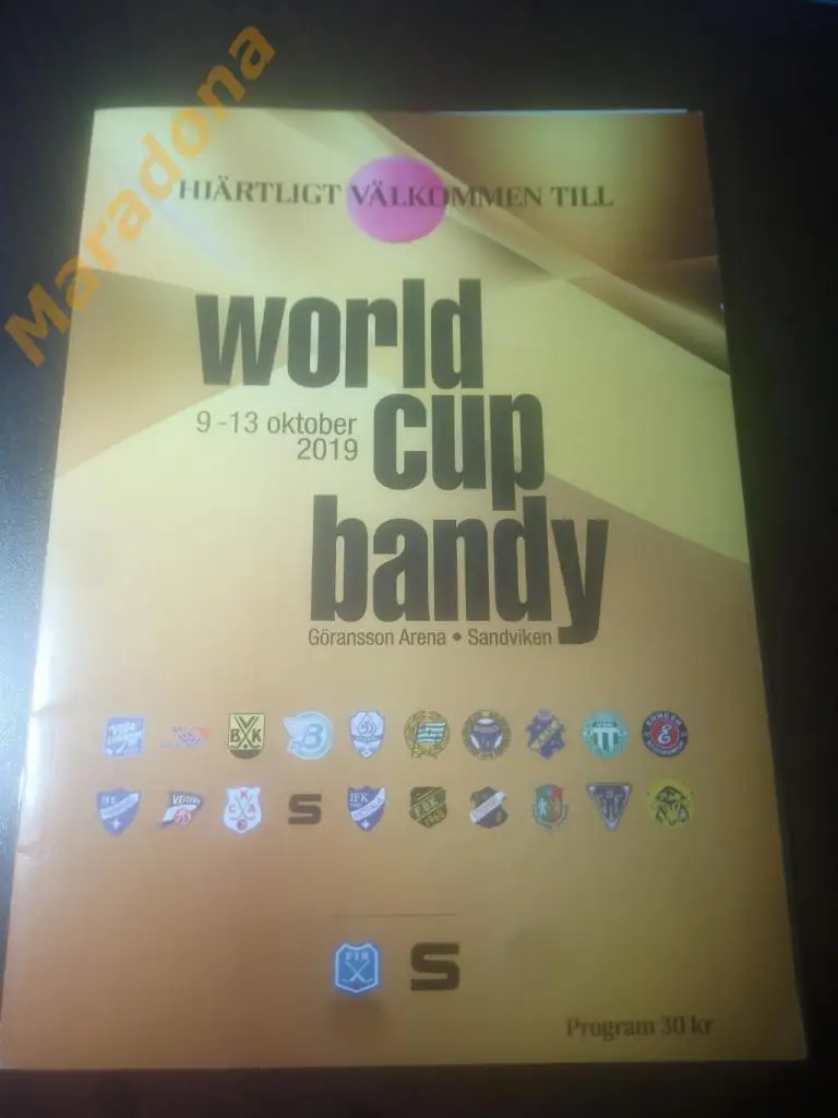 Кубок мира Швеция 2019 Динамо Москва Енисей Байкал Водник Хабаровск Первоуральск