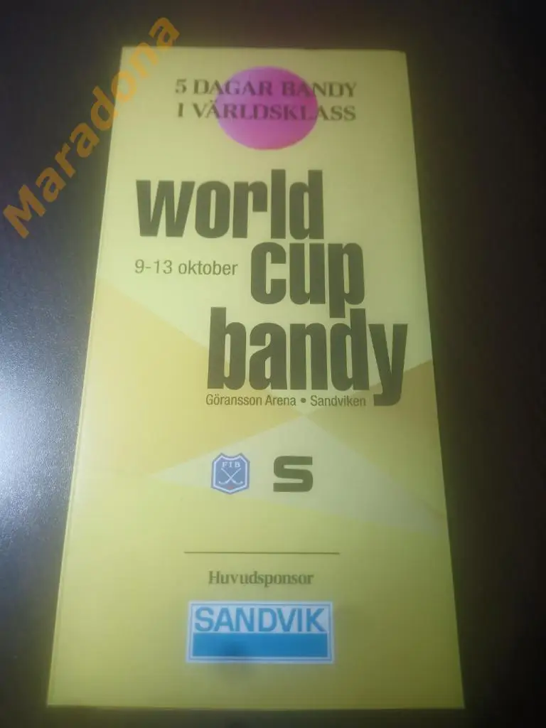 Кубок мира Швеция 2019 Динамо Москва Енисей Байкал Водник Хабаровск 2-й вид