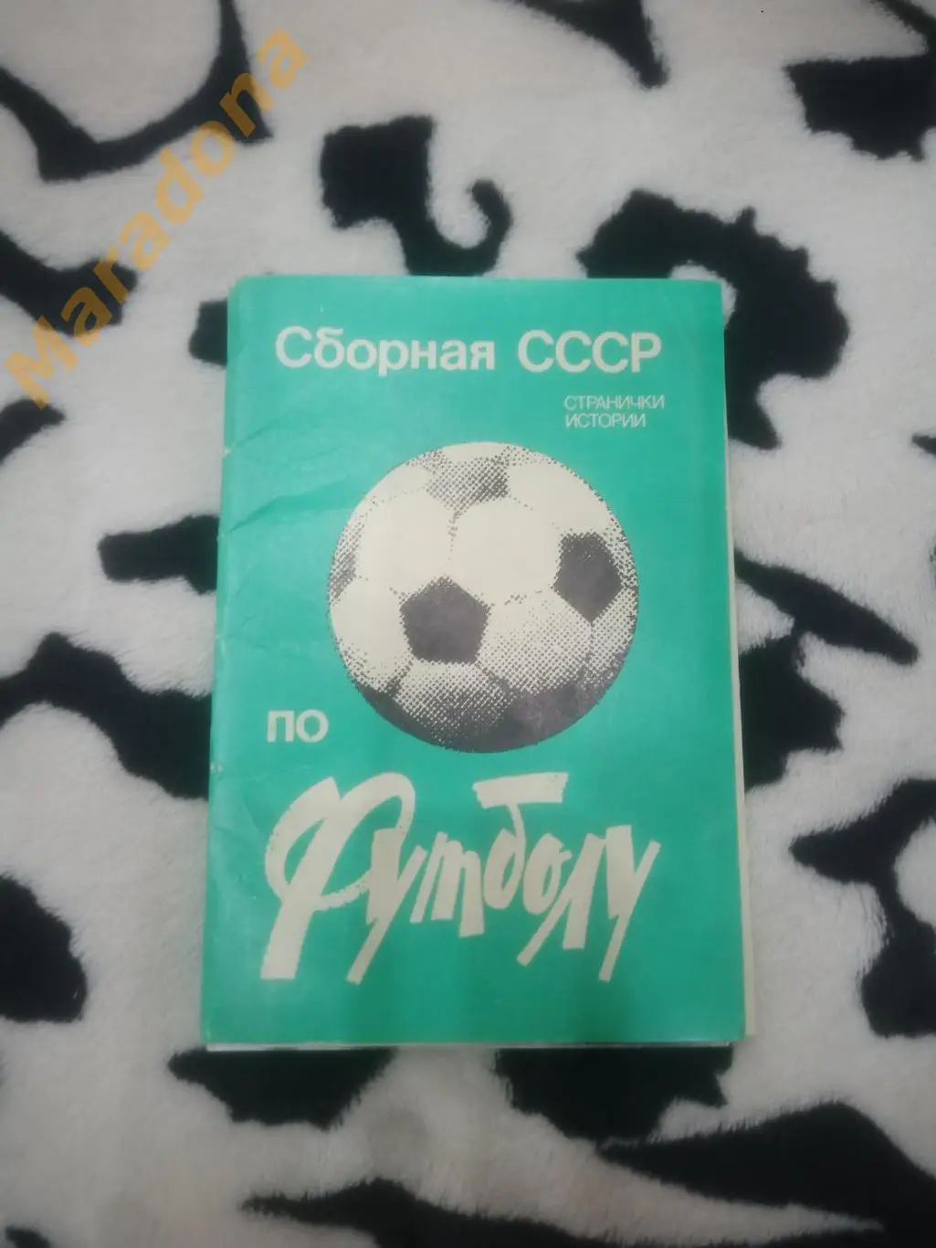 Сборная СССР по Футболу. Странички истории 1983