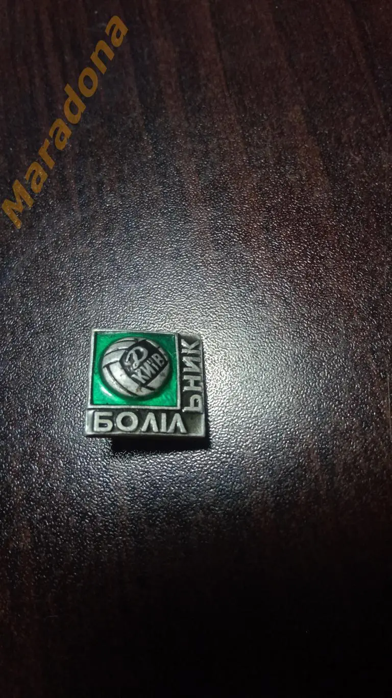 Динамо Киев болельщик