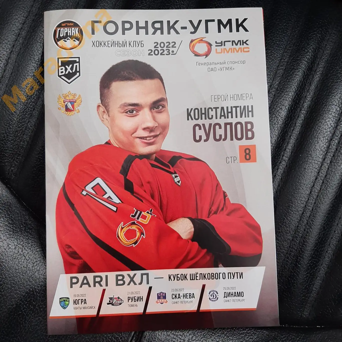 Горняк-УГМК Верхняя Пышма-Югра Рубин СКА-Нева Динамо Санкт-Петербург 2022/2023