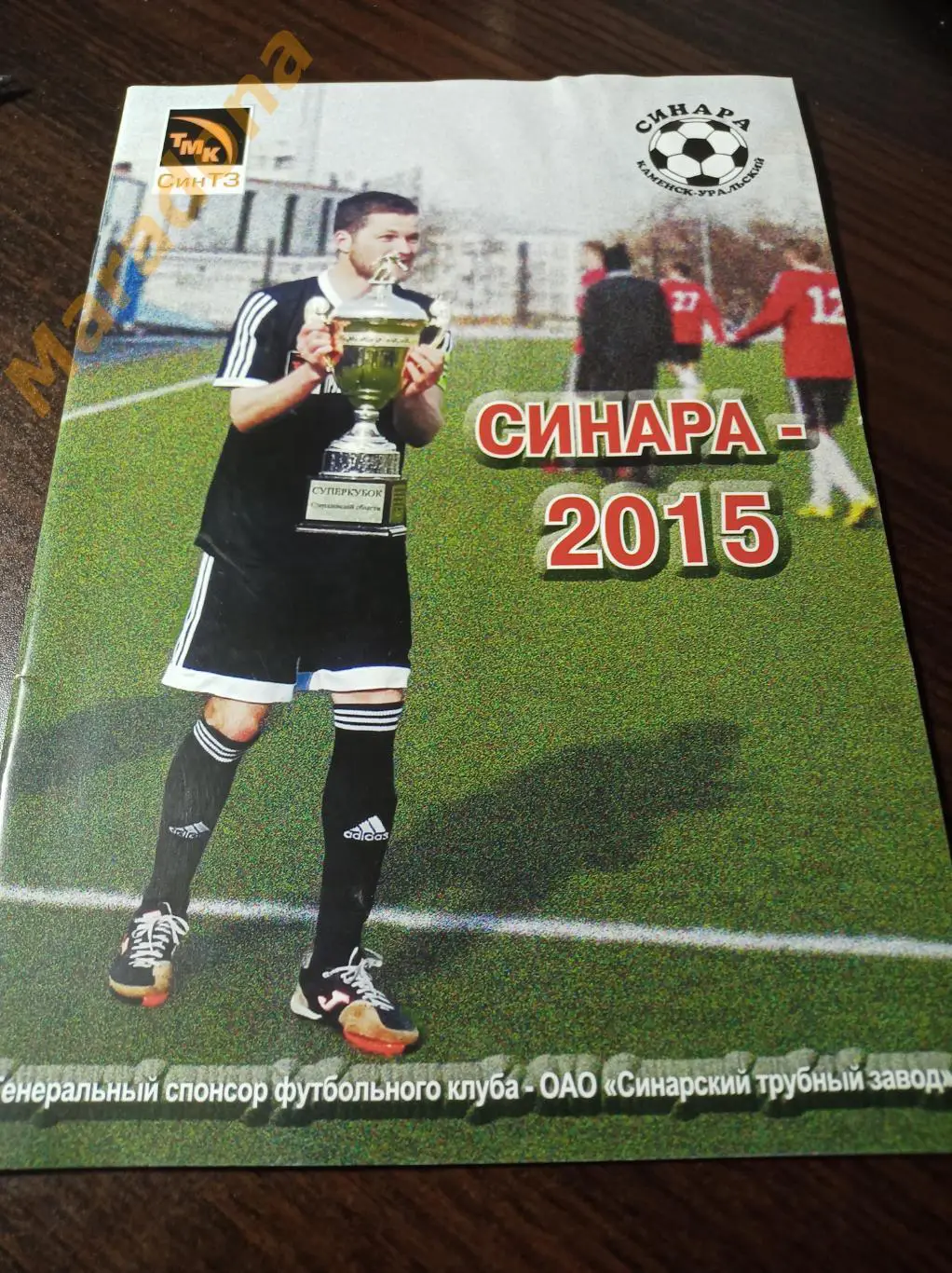 Каменск-Уральский 2015