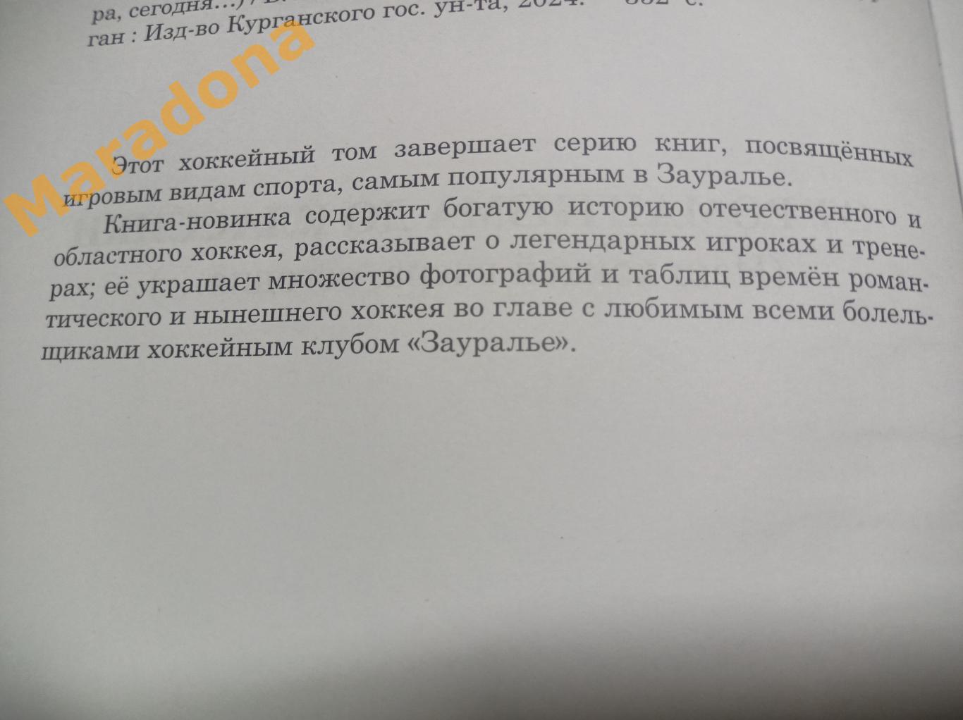 Хоккей От романтизма до классики Курган 2024 1