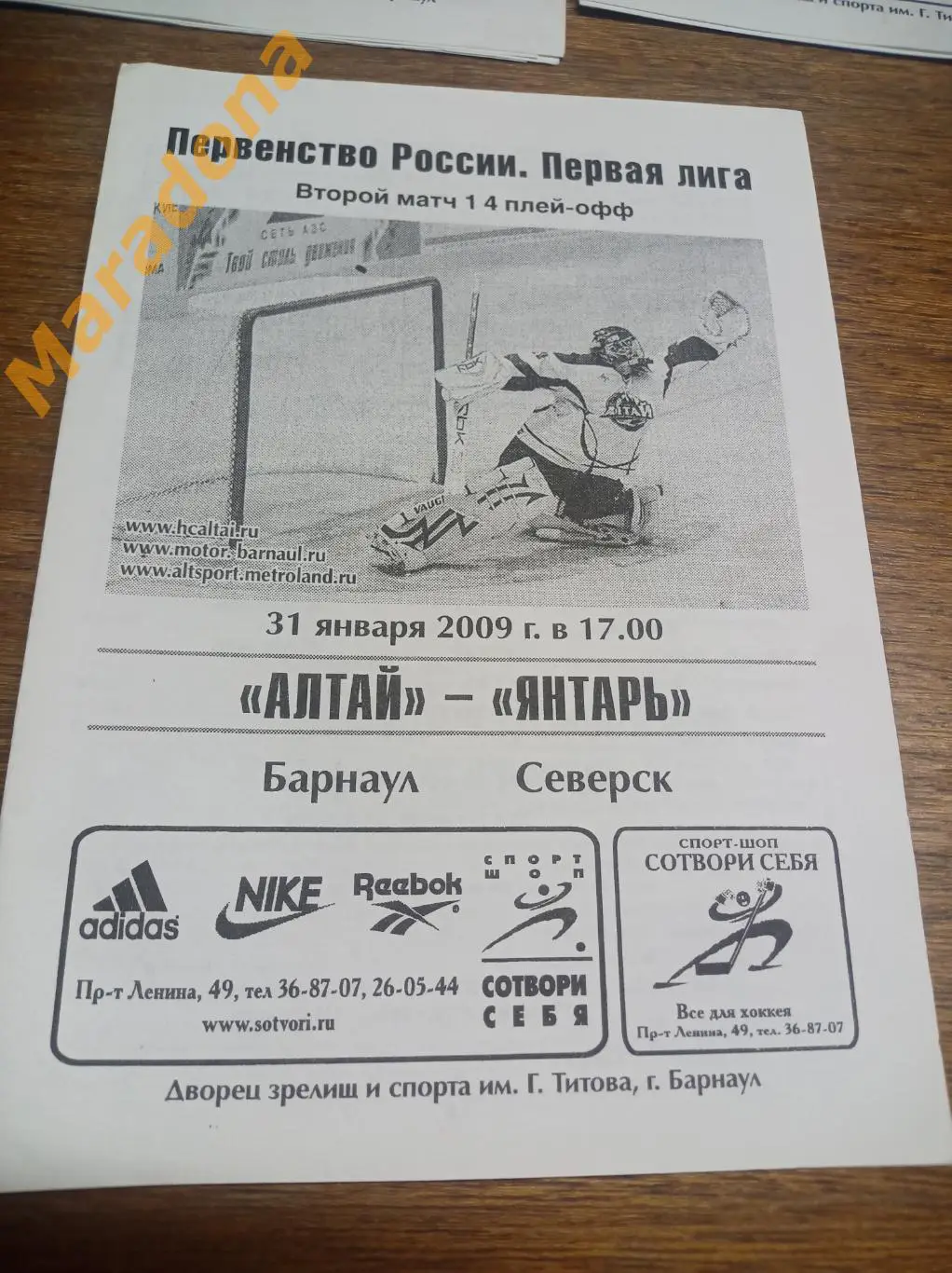 Алтай Барнаул - Янтарь Северск 2008/2009 Плей-офф