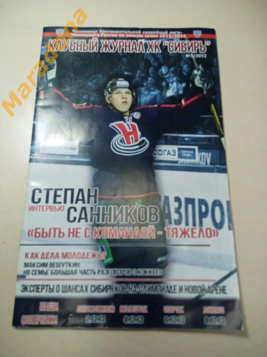 Сибирь Новосибирск - Динамо Минск+Спартак Москва+Донбасс+Медвешчак 2013/2014