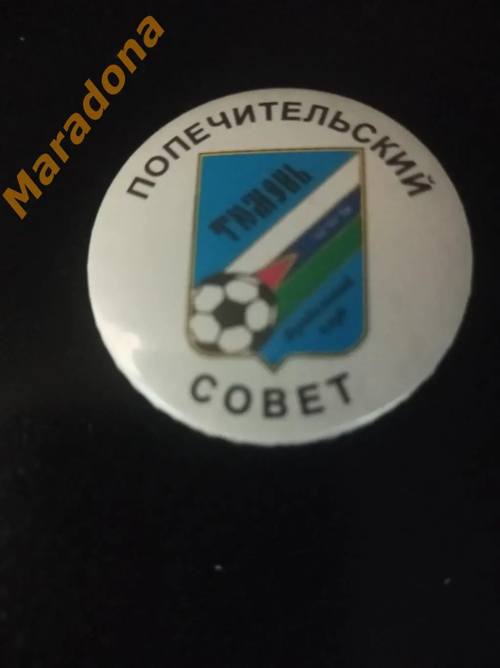 Тюмень попечительский совет