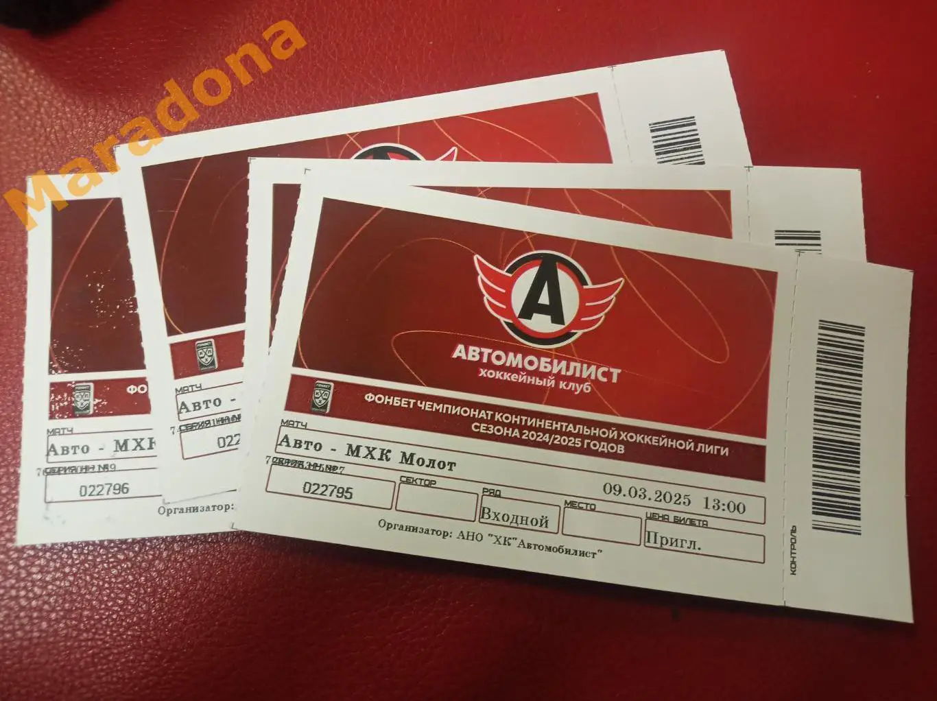 Авто Екатеринбург - Молот Пермь 2024/2025 с корешком
