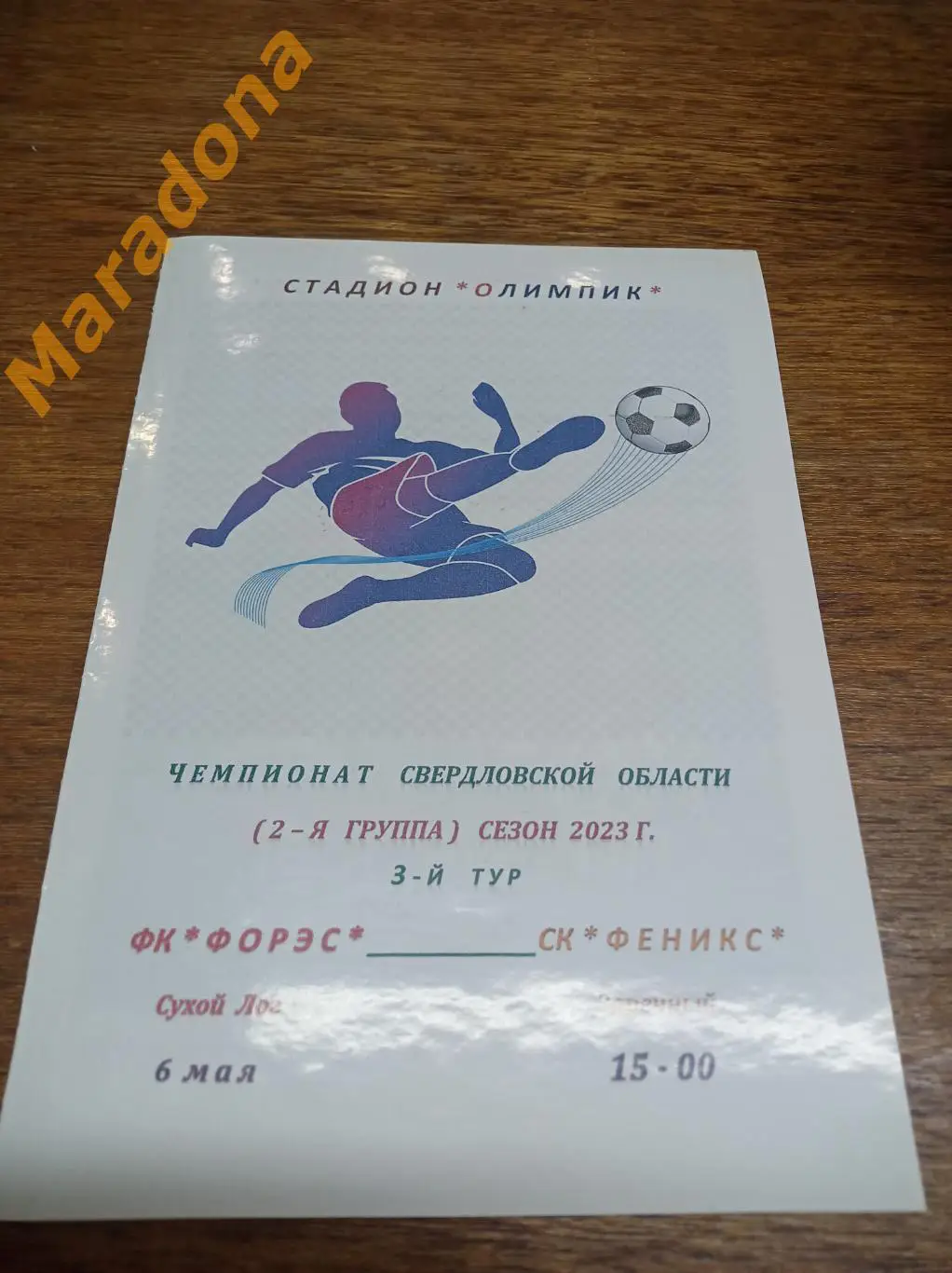 ФОРЭС (Сухой Лог) - Феникс (Заречный) 2023 глянец