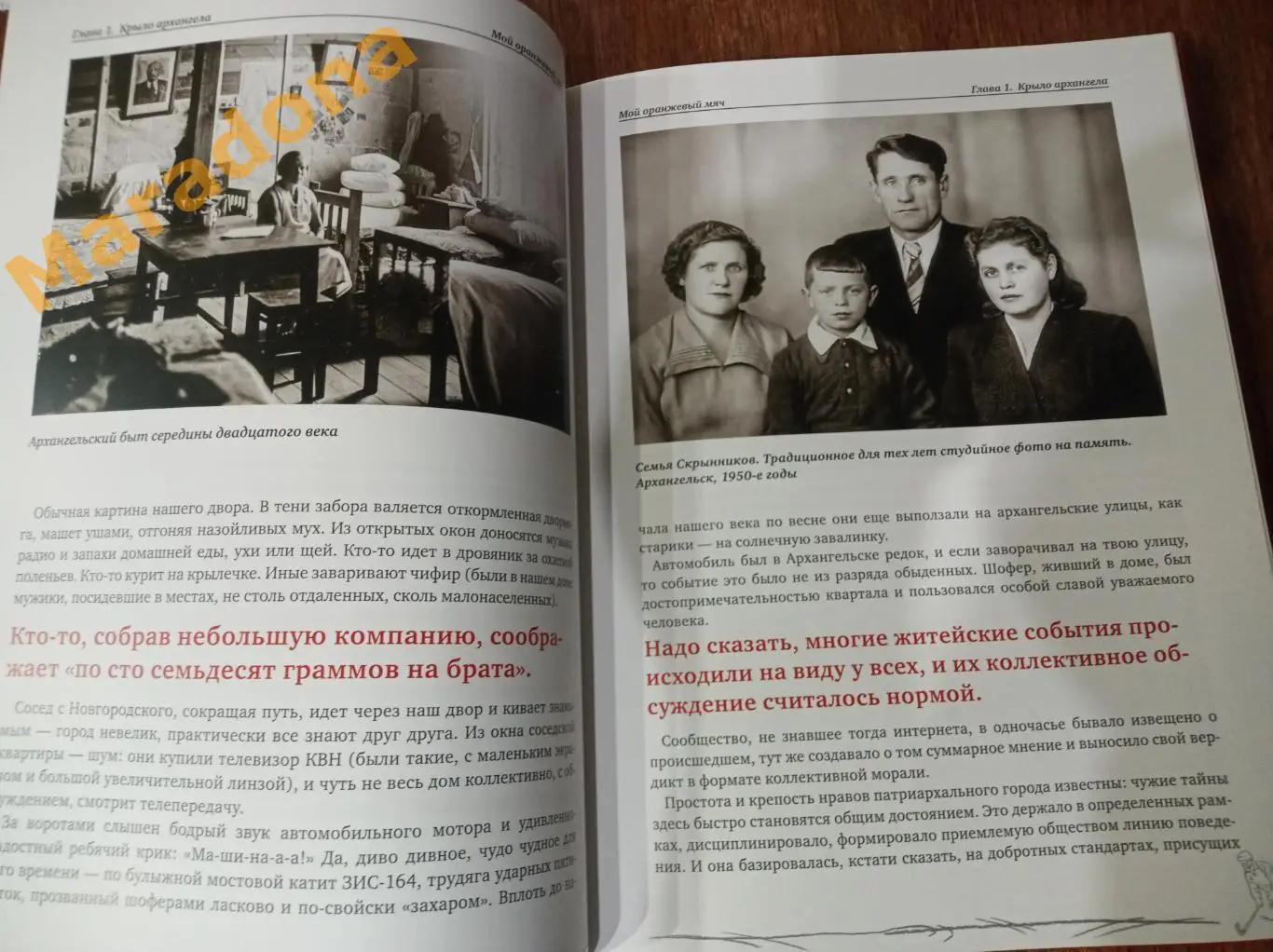 Борис Скрынник. Мой оранжевый мяч 2013 хоккей с мячом 2