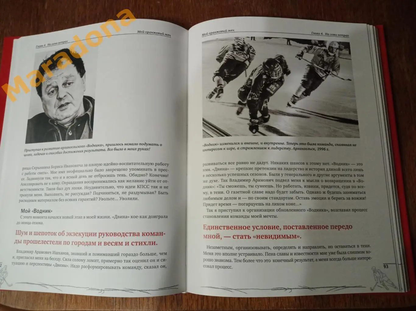 Борис Скрынник. Мой оранжевый мяч 2013 хоккей с мячом 3