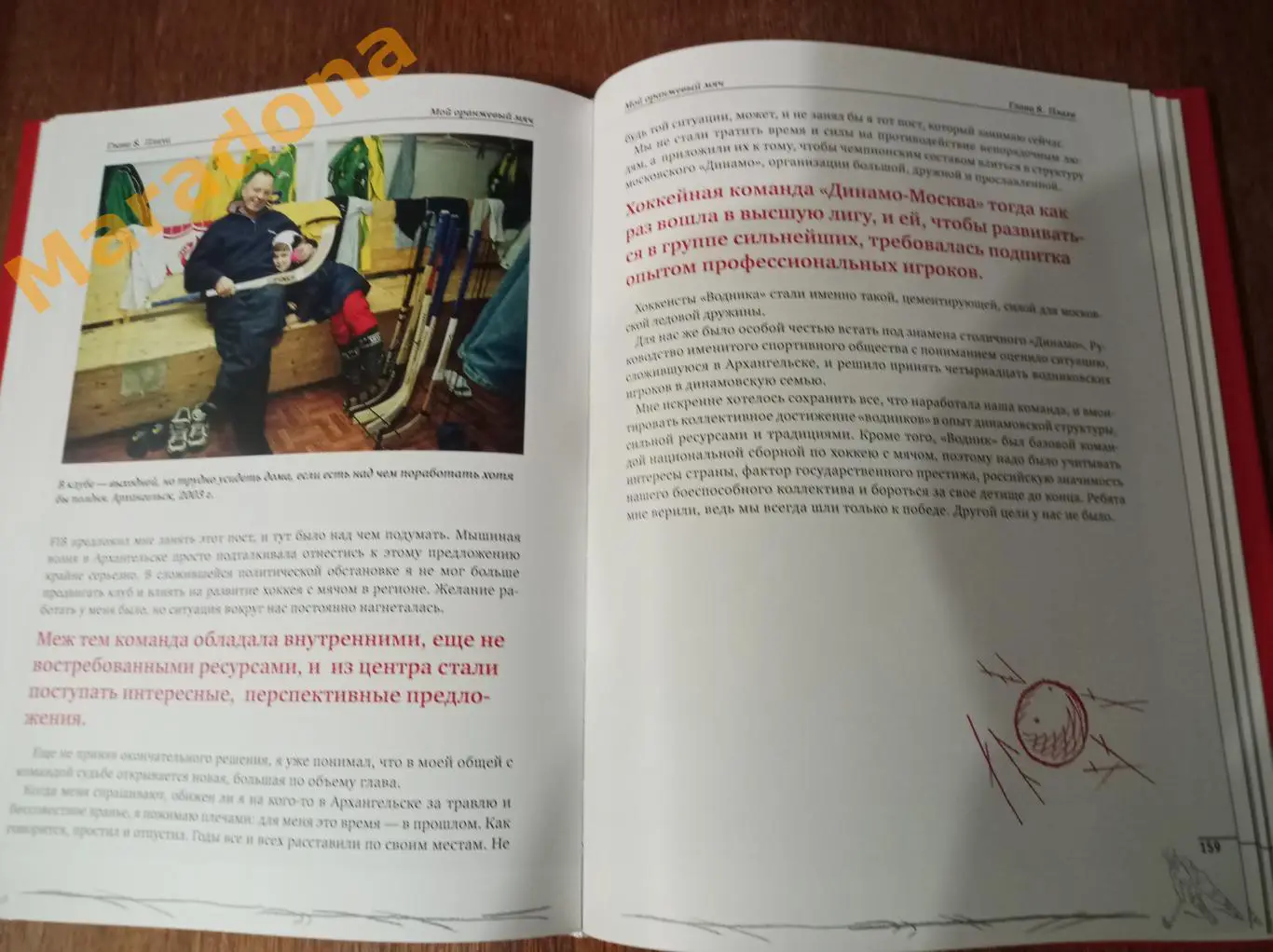 Борис Скрынник. Мой оранжевый мяч 2013 хоккей с мячом 4