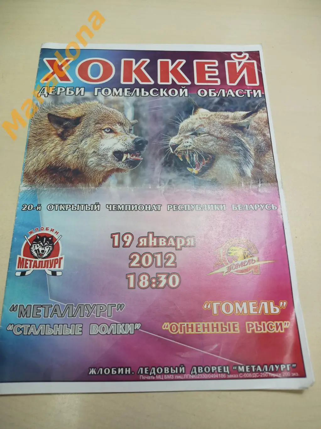 Металлург Жлобин Беларусь - Гомель 2011/2012