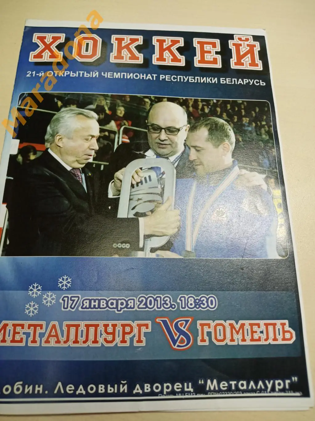 Металлург Жлобин Беларусь - Гомель 2012/2013