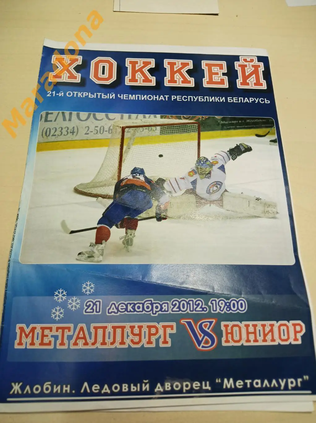 Металлург Жлобин Беларусь - Юниор 2012/2013