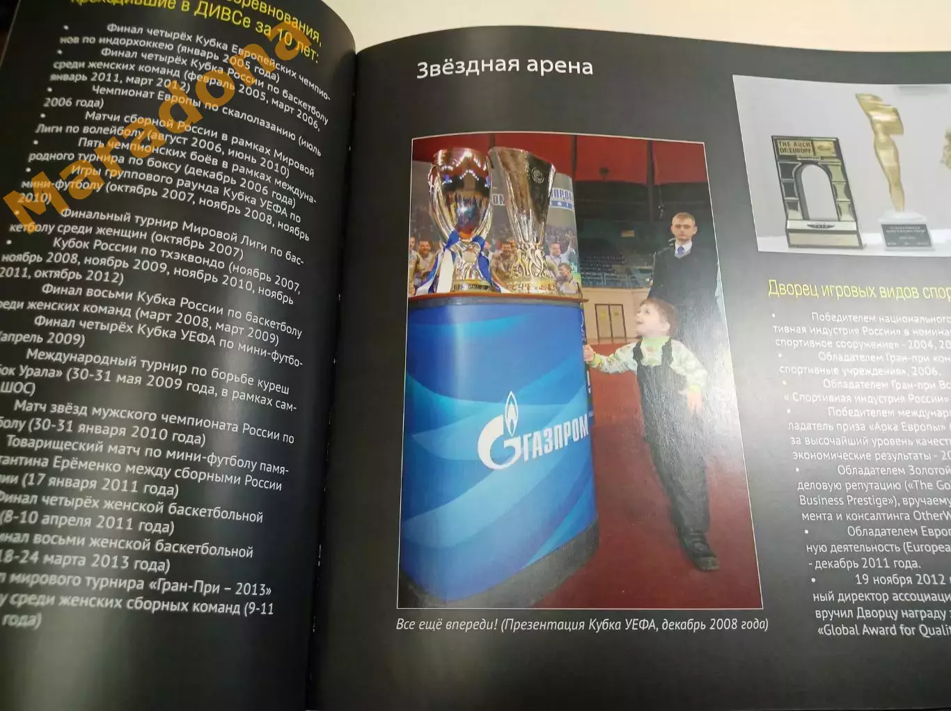 Звёздная арена ДИВС Уралочка 2003-2013 юбилей 10 лет Екатеринбург 4