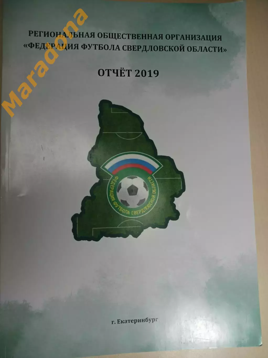 Отчёт федерация футбола Свердловской области 2019 Екатеринбург