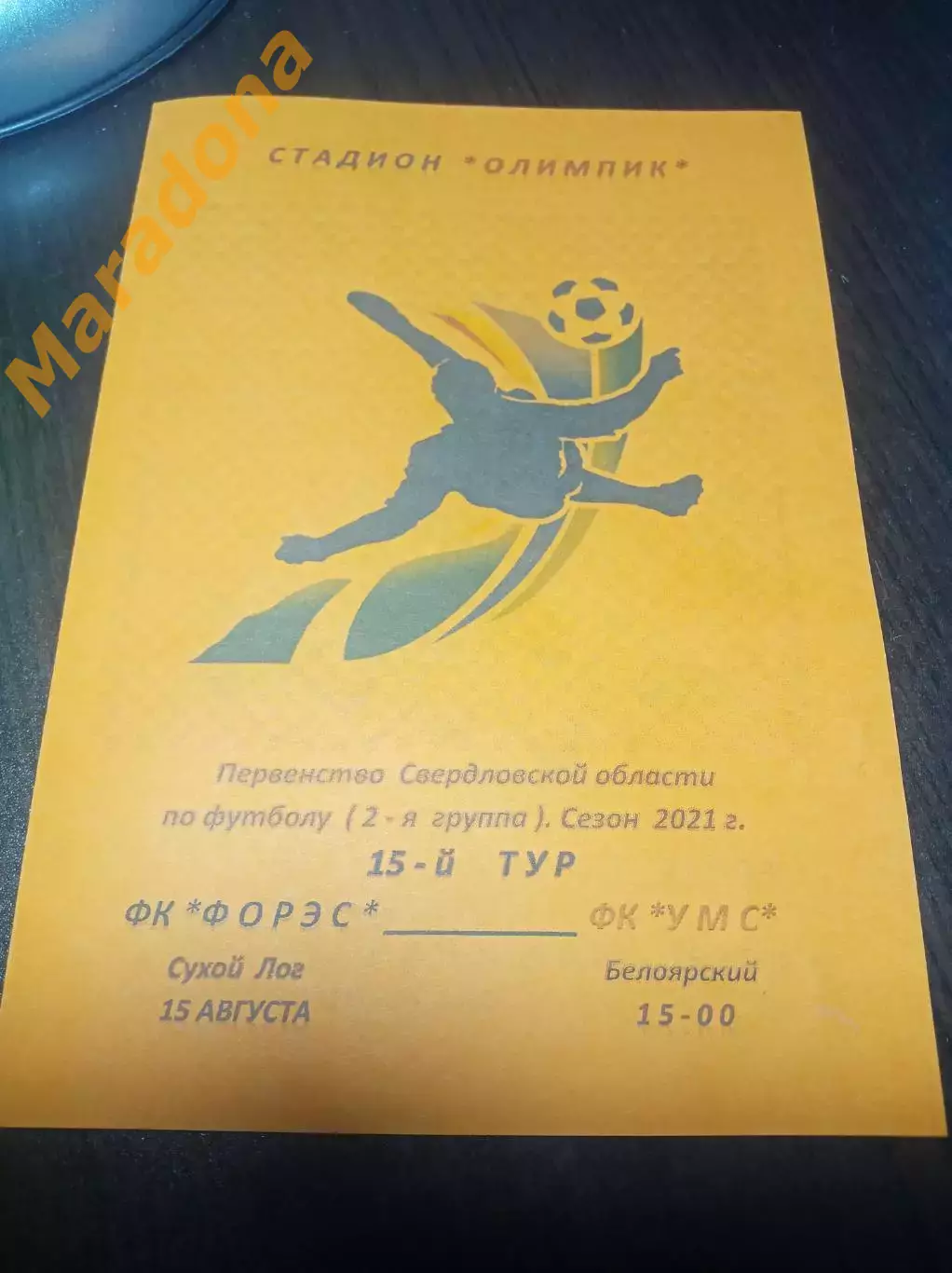 ФОРЭС Сухой Лог - УМС Белоярский Свердловская область 2021 2-й вид